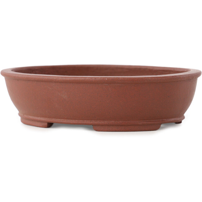 Pot à bonsaï ovale non émaillé de Shibakatsu - 155 x 127 x 40 mm