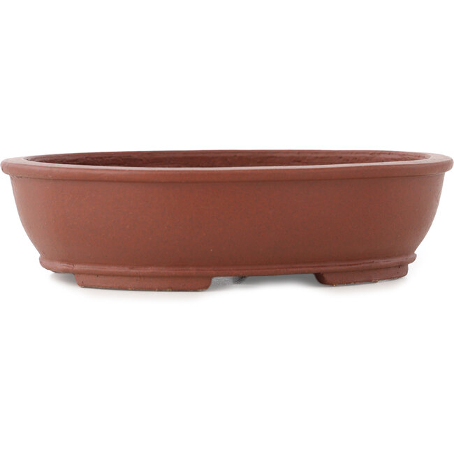 Vaso bonsai ovale non smaltato di Shibakatsu - 155 x 127 x 40 mm