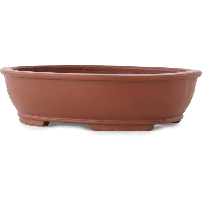 Maceta para bonsái ovalada sin esmaltar de Shibakatsu - 155 x 127 x 40 mm