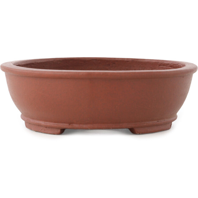 Pot à bonsaï ovale non émaillé de Shibakatsu - 155 x 127 x 40 mm
