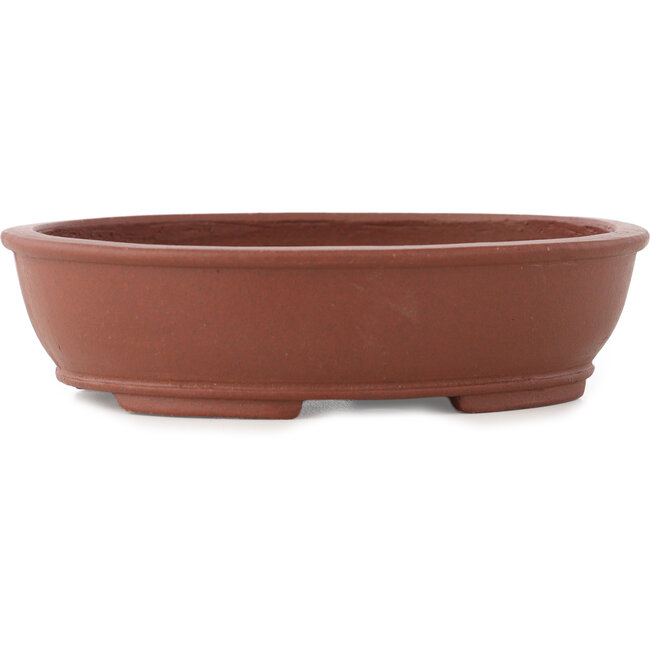 Oval unglazed bonsai pot by Shibakatsu - 155 x 127 x 40 mm