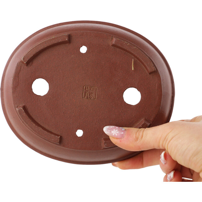 Pot à bonsaï ovale non émaillé de Shibakatsu - 155 x 127 x 40 mm