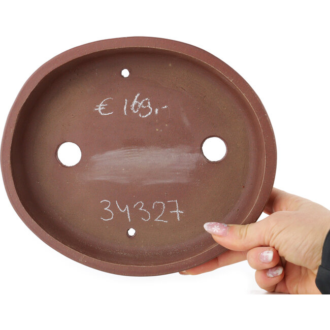 Vaso bonsai ovale non smaltato di Shibakatsu - 205 x 180 x 45 mm