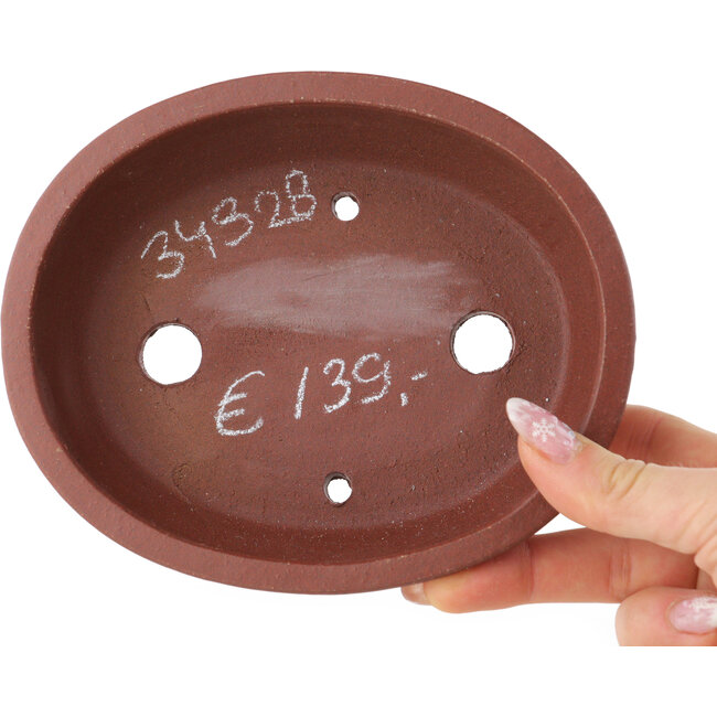 Oval unglazed bonsai pot by Shibakatsu - 155 x 127 x 40 mm