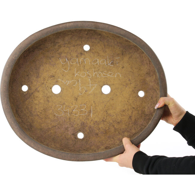 Pot à bonsaï ovale non émaillé de Yamaaki Koshosen (première génération) - 492 x 415 x 120 mm