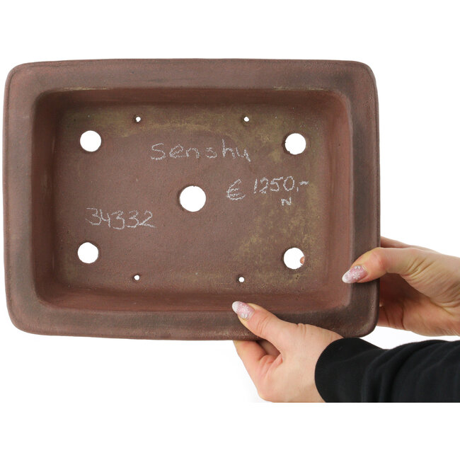 Pot à bonsaï rectangulaire non émaillé de Sensyu - 307 x 230 x 100 mm
