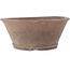 Vaso bonsai rotondo non smaltato di Sensyu - 235 x 235 x 100 mm