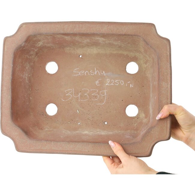 Vaso bonsai rettangolare non smaltato di Sensyu - 400 x 310 x 110 mm