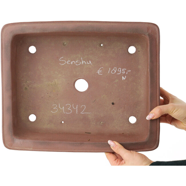 Rectangular unglazed bonsai pot by Sensyu - 362 x 305 x 98 mm