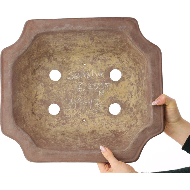 Vierkante ongeglazuurde bonsaipot van Sensyu - 395 x 355 x 135 mm