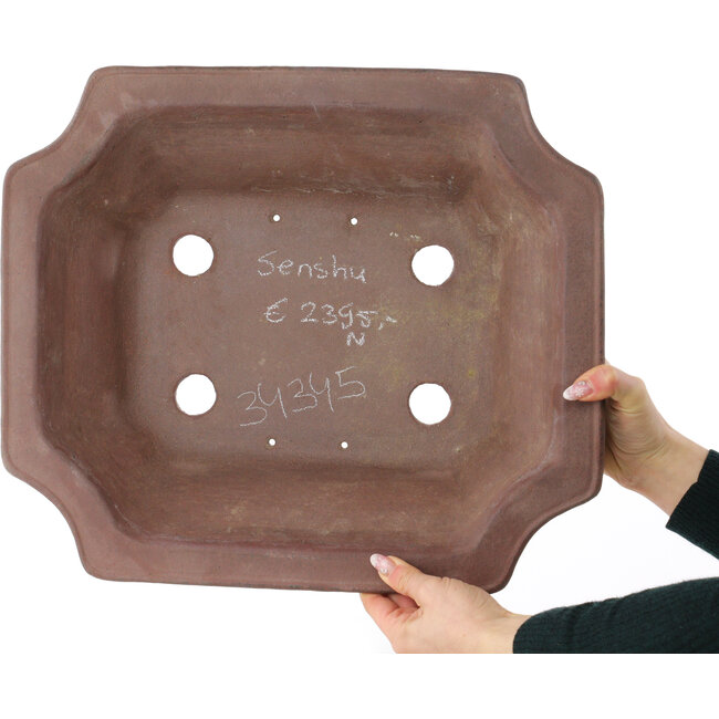 Pot à bonsaï carré non émaillé de Sensyu - 430 x 373 x 140 mm