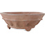 Ronde ongeglazuurde bonsaipot van Sensyu - 185 x 185 x 67 mm