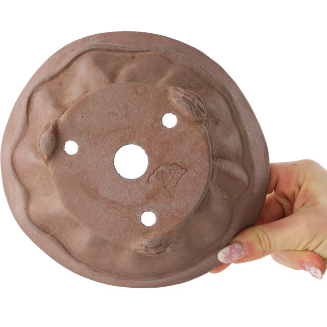 Round unglazed bonsai pot by Sensyu - 185 x 185 x 67 mm