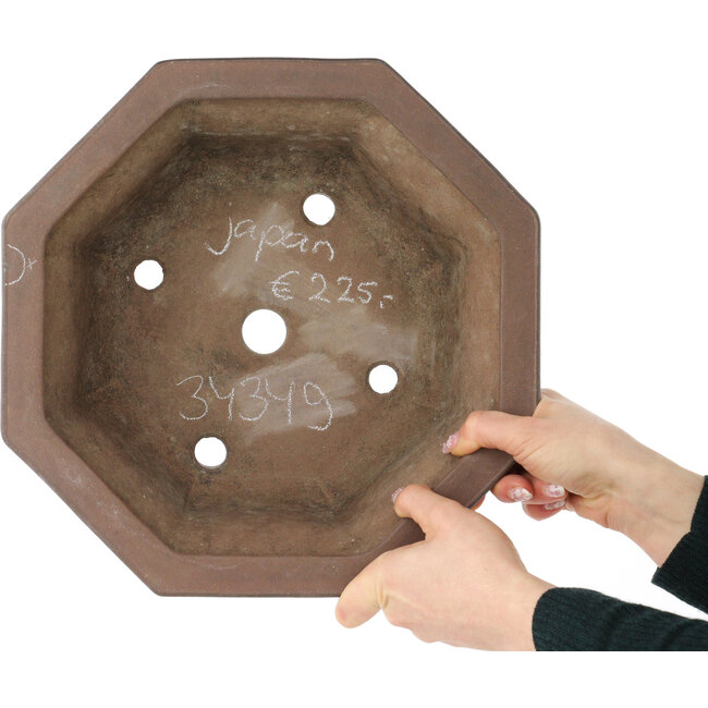 Pot à bonsaï octogonal non émaillé - 307 x 307 x 125 mm