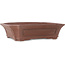 Rectangular unglazed bonsai pot by Sensyu - 505 x 410 x 130 mm