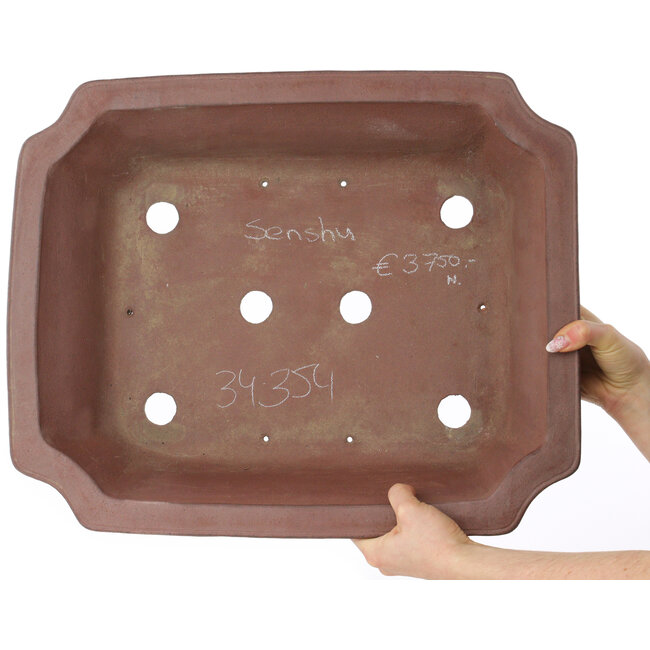 Rectangular unglazed bonsai pot by Sensyu - 505 x 410 x 130 mm