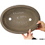 Pot à bonsaï ovale non émaillé de Kowatari - 355 x 255 x 110 mm