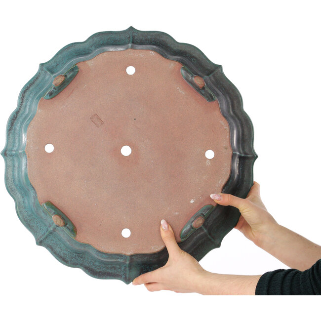 Lotus-Türkis-Bonsaischale von Reiho - 475 x 475 x 100 mm