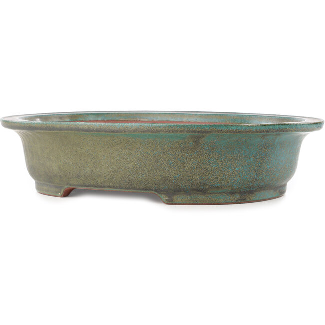 Pot à bonsaï ovale turquoise de Reiho - 410 x 327 x 95 mm