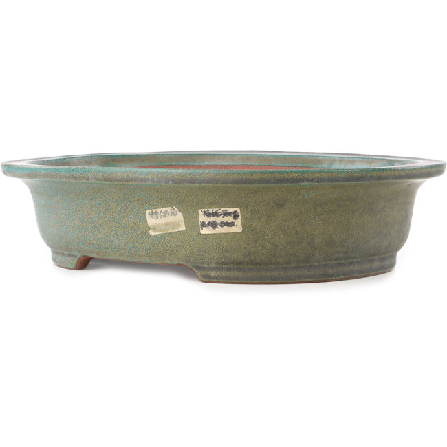 Pot à bonsaï ovale turquoise de Reiho - 410 x 327 x 95 mm