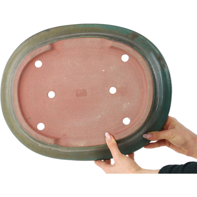 Pot à bonsaï ovale turquoise de Reiho - 410 x 327 x 95 mm