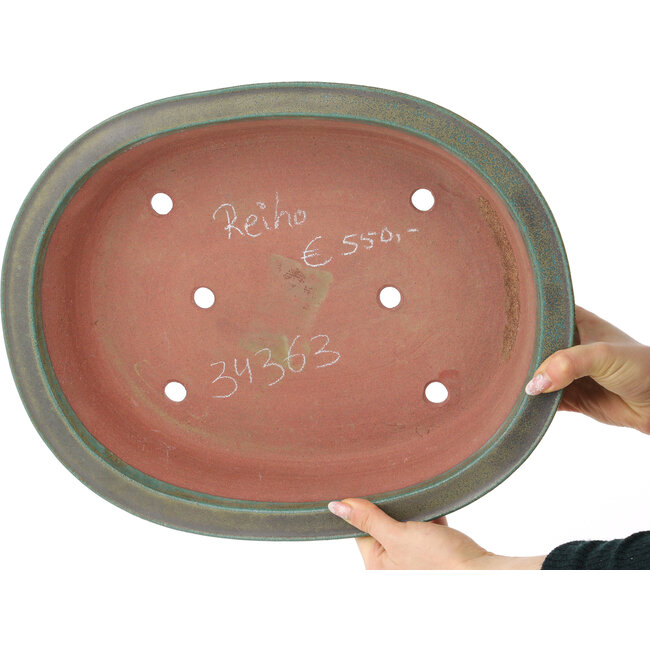 Pot à bonsaï ovale turquoise de Reiho - 410 x 327 x 95 mm