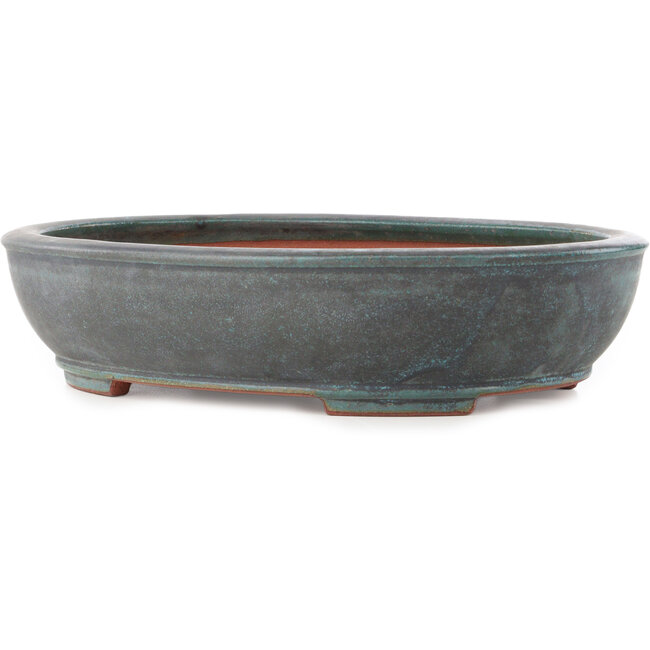 Pot à bonsaï ovale turquoise de Reiho - 380 x 290 x 88 mm