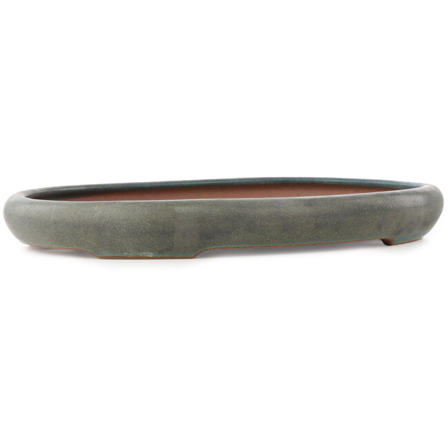 Vaso bonsai ovale turchese di Reiho - 415 x 295 x 48 mm