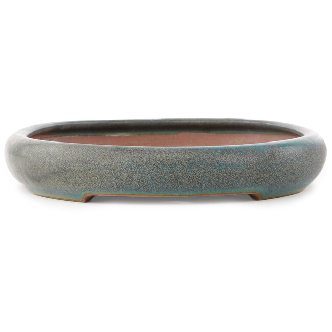 Maceta ovalada turquesa para bonsái de Reiho - 415 x 295 x 48 mm