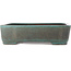 Maceta rectangular turquesa para bonsái de Reiho - 410 x 290 x 110 mm