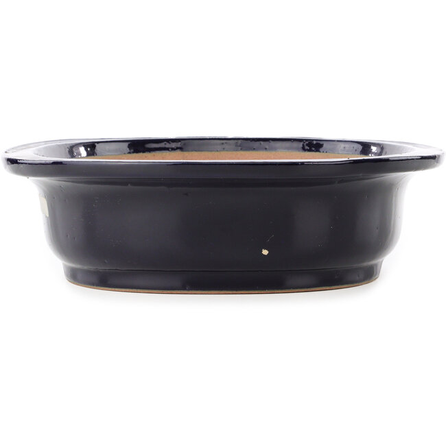 Ovale donkerblauwe bonsaipot van Reiho - 410 x 330 x 92 mm