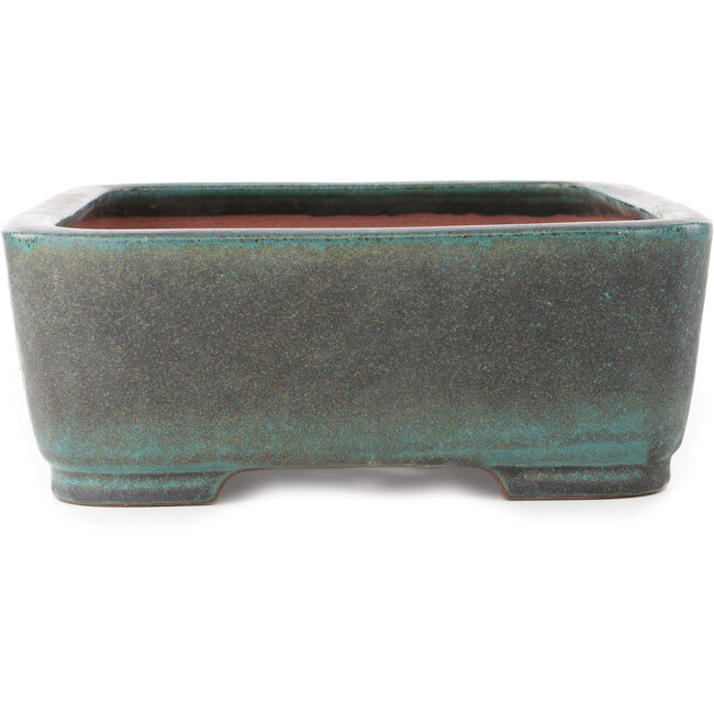 Maceta rectangular turquesa para bonsái de Reiho - 410 x 290 x 110 mm
