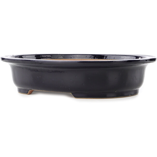 Oval dark blue bonsai pot by Reiho - 410 x 330 x 92 mm