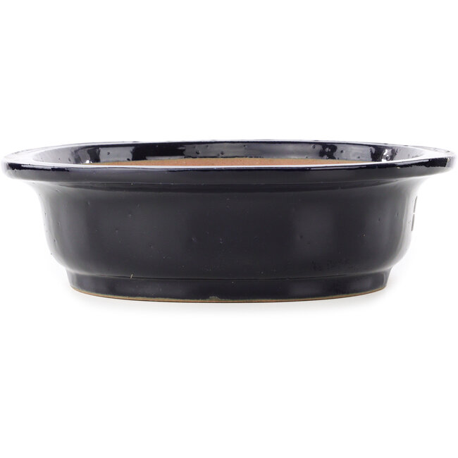 Maceta ovalada para bonsái de color azul oscuro de Reiho - 410 x 330 x 92 mm