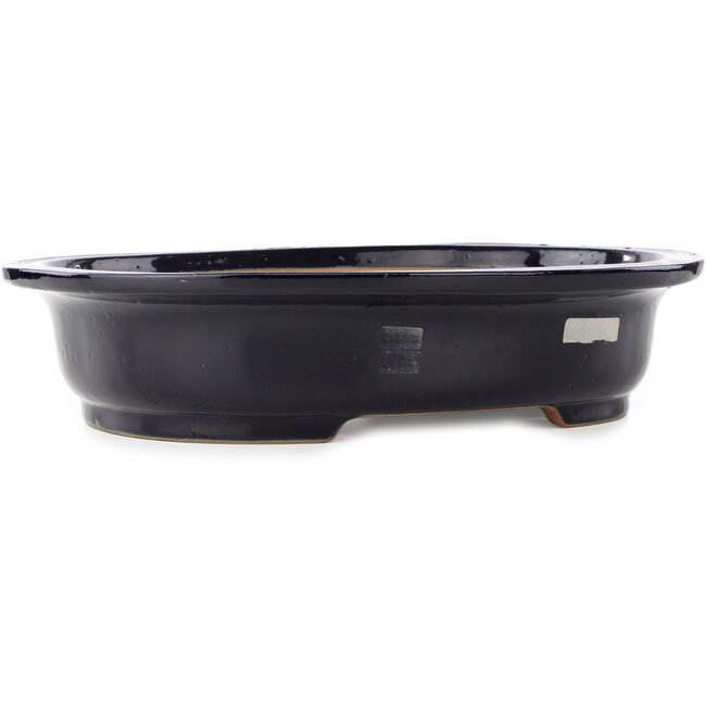Pot à bonsaï ovale bleu foncé de Reiho - 410 x 330 x 92 mm