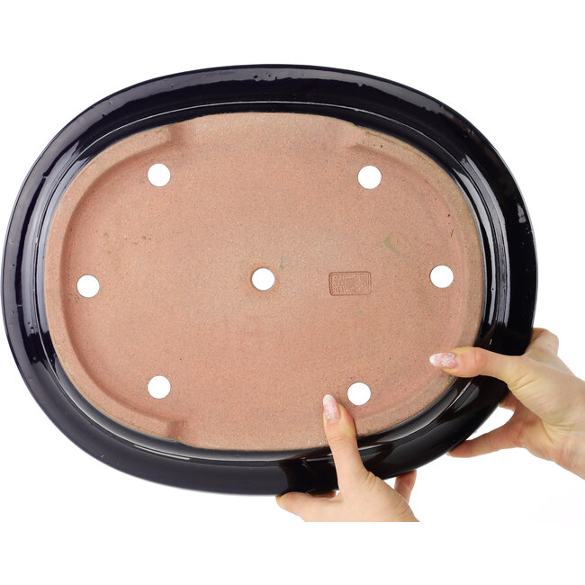 Ovale donkerblauwe bonsaipot van Reiho - 410 x 330 x 92 mm