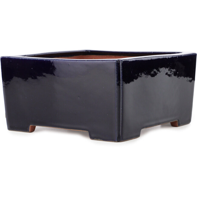 Maceta cuadrada azul oscuro para bonsái de Reiho - 235 x 235 x 115 mm