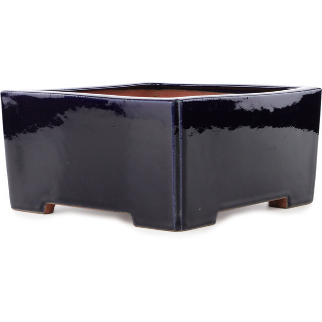 Square dark blue bonsai pot by Reiho - 235 x 235 x 115 mm