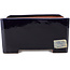 Pot à bonsaï carré bleu foncé de Reiho - 235 x 235 x 115 mm