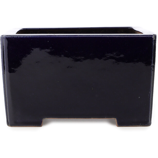Maceta cuadrada azul oscuro para bonsái de Reiho - 235 x 230 x 135 mm