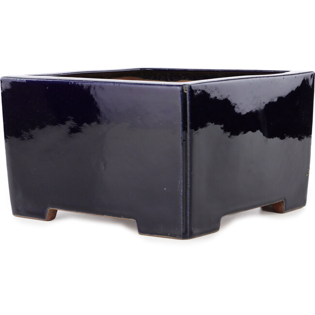 Square dark blue bonsai pot by Reiho - 235 x 230 x 135 mm