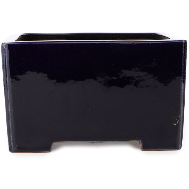 Maceta cuadrada azul oscuro para bonsái de Reiho - 235 x 230 x 135 mm