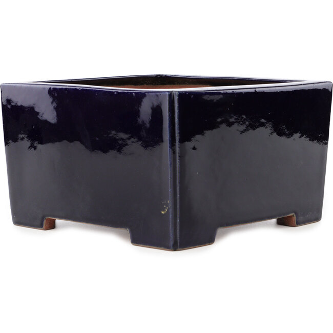 Vaso bonsai quadrato blu scuro di Reiho - 235 x 230 x 135 mm
