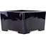 Maceta cuadrada azul oscuro para bonsái de Reiho - 235 x 230 x 135 mm