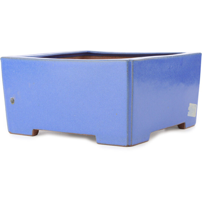 Pot à bonsaï carré bleu de Reiho - 238 x 230 x 115 mm