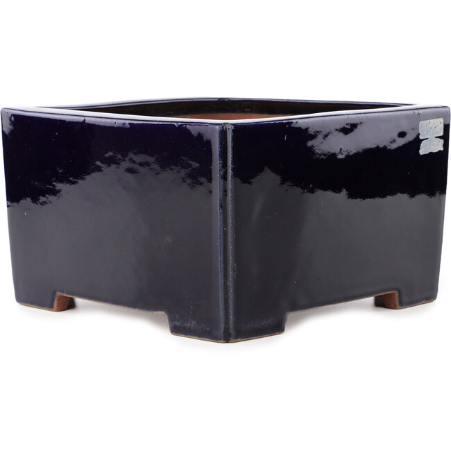 Maceta cuadrada azul oscuro para bonsái de Reiho - 235 x 230 x 135 mm