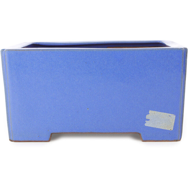 Maceta cuadrada azul para bonsái de Reiho - 238 x 230 x 115 mm