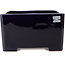 Maceta cuadrada azul oscuro para bonsái de Reiho - 235 x 230 x 135 mm
