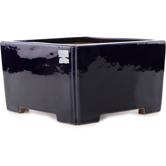 Square dark blue bonsai pot by Reiho - 235 x 230 x 135 mm