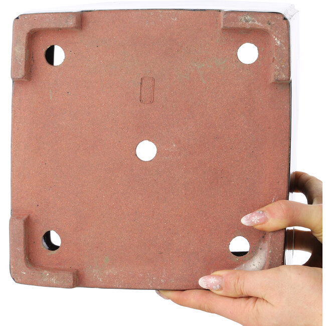 Pot à bonsaï carré bleu foncé de Reiho - 235 x 230 x 135 mm